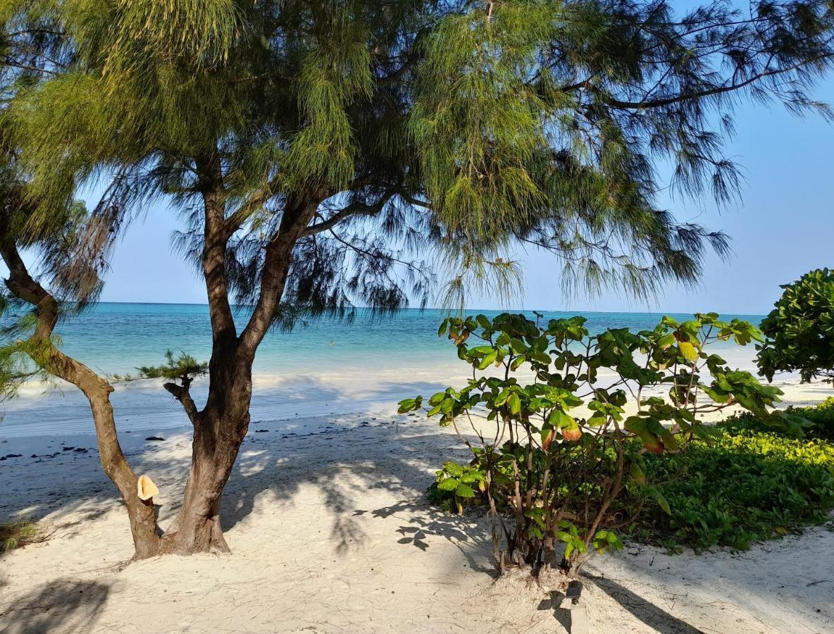 Kijani Beach Villas Bwejuu Ngoại thất bức ảnh